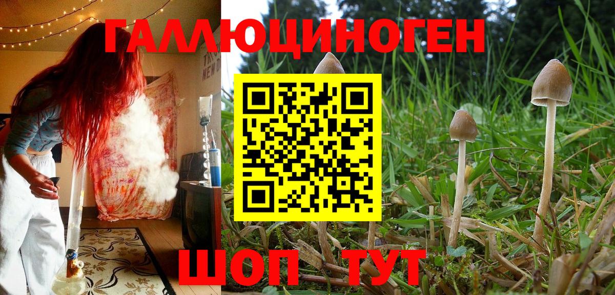 Псилоцибиновые грибы ЛСД Ликино-Дулёво
